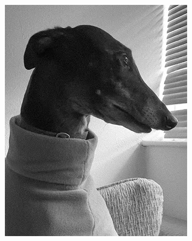 Penny